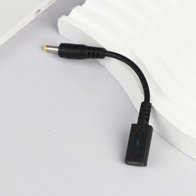 PD Type C Cable For 1000 2000  – Controller Adapter Usb Bewertung und Preis